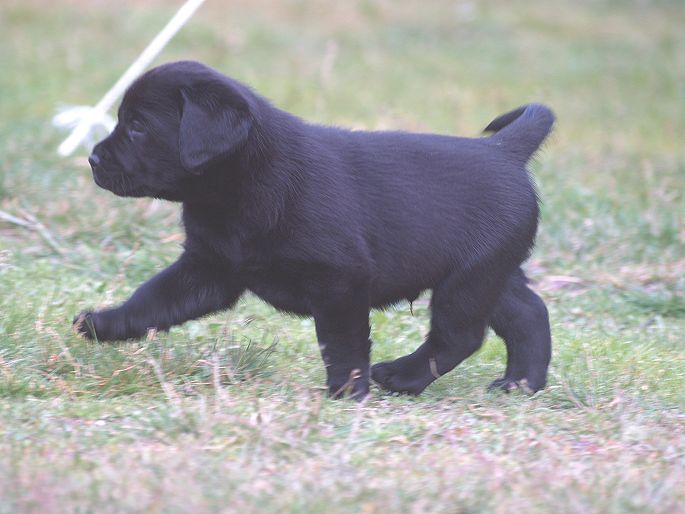 Here I AM ..... Wait N�See